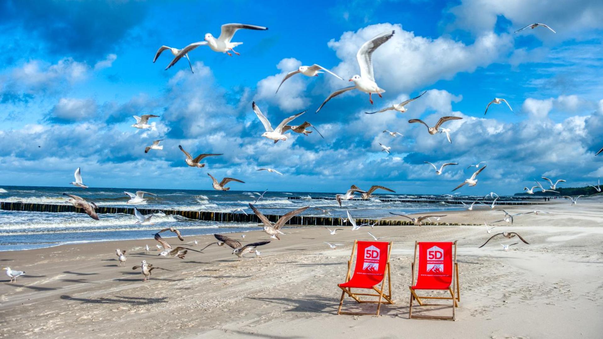 Rezydencja Niechorze 324 - 5D Apartamenty Bagian luar foto